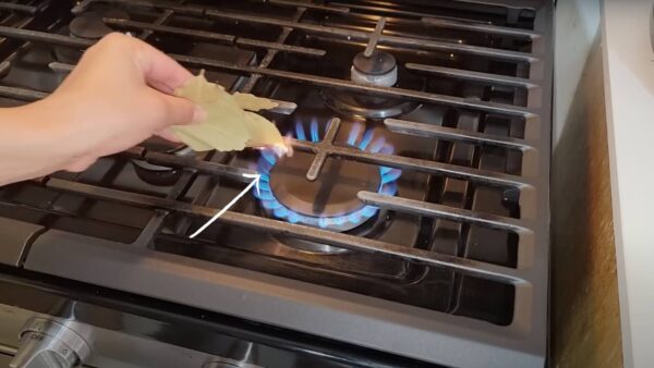 Verbrenne 5 Lorbeerblätter auf dem Küchenherd: Was passiert als nächstes