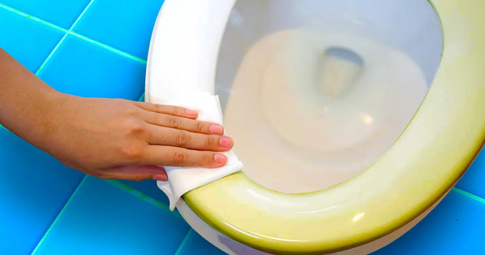 Vergilbter Schüsselsitz? 2 Zutaten reichen aus, um es weiß und glänzend zu machen