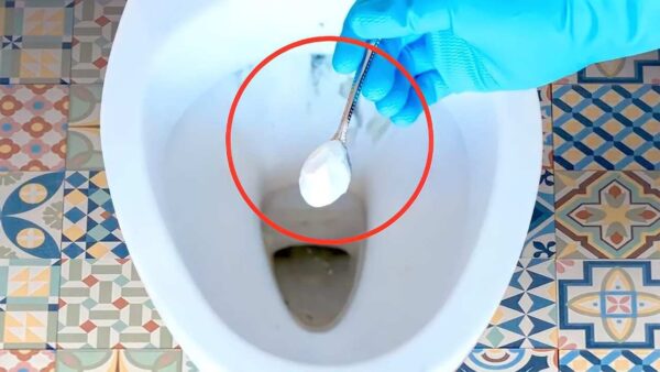 Verstopfte Toilette, ruf nicht den Klempner: eine Handvoll reicht | Das Problem lösen