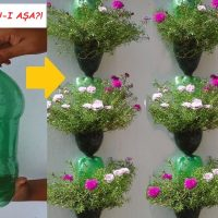 Verwandeln Sie Plastikflaschen in Hängevasen für Ihren Balkon!