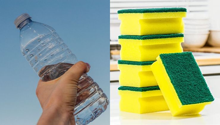 Flasche und Schwämme