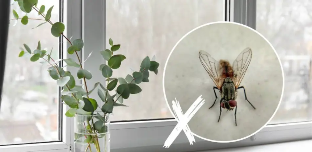Von Fliegen befallenes Haus: Mit diesen Pflanzen werden Sie nie wieder eine Fliege sehen