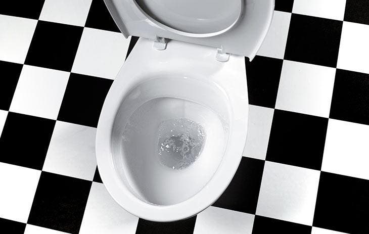 Warum Kaffeesatz in die Toilette geben?