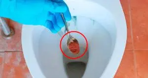 Warum Kaffeesatz in die Toilette geben?