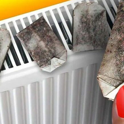Warum immer Teebeutel auf die Heizung legen? Der wenig bekannte Trick zum Sparen