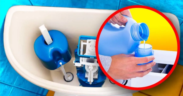 Warum ist es klug, Weichspüler in den Toilettenspülkasten zu gießen? Die brillante Lösung für ein häufiges Problem
