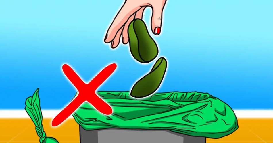 Warum ist es wichtig, Avocadoschalen nicht mehr in den Müll zu werfen?