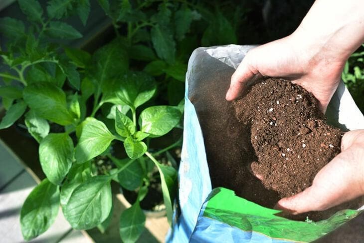 Warum ist es wichtig, Bananenschalen auf Ihre Pflanzen zu legen? Der geniale Trick cleverer Gärtner 2 Ein Mann, der Erde in seinen Händen hält