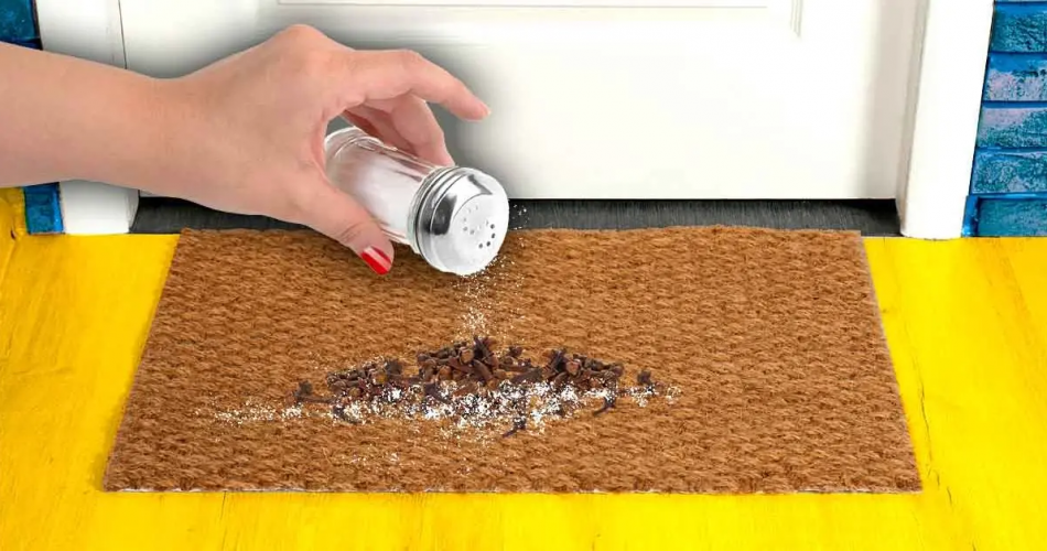 Warum ist es wichtig, Nelken und Salz vor die Haustür zu streuen?