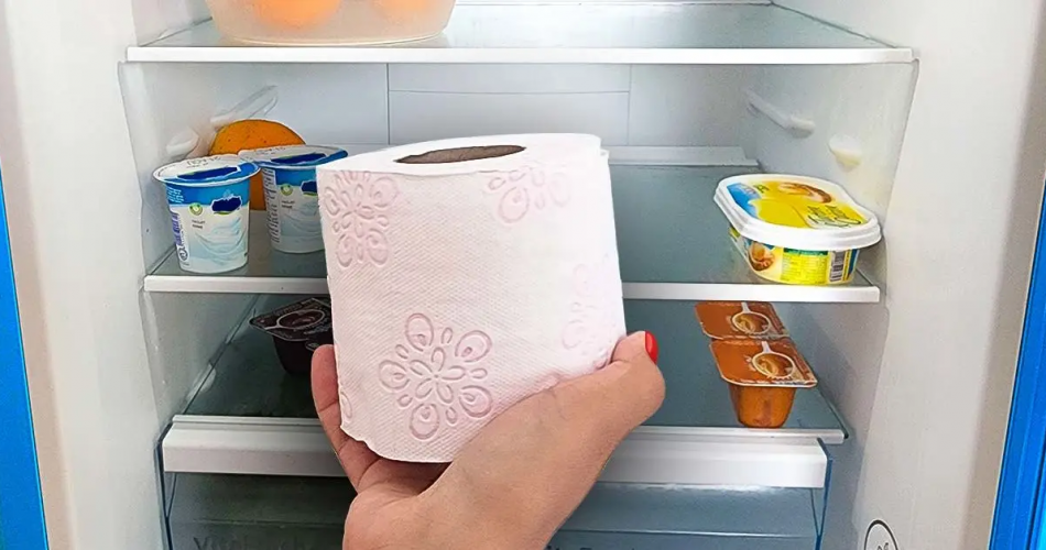 Warum ist es wichtig, Toilettenpapier im Kühlschrank zu lassen? Das Geheimnis, das nur wenige kennen