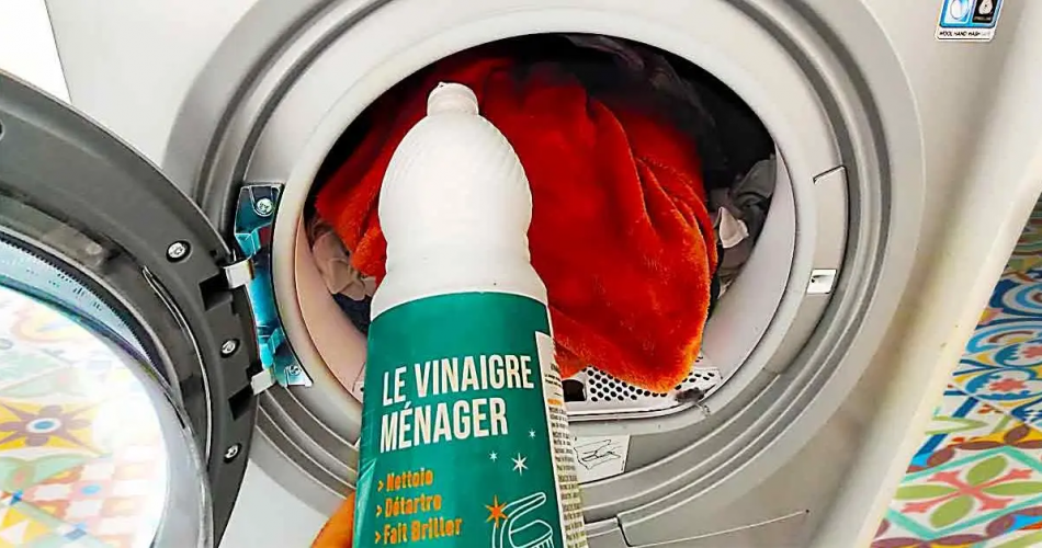 Warum ist es wichtig, alle zwei Monate Essig in die Waschmaschine zu gießen?