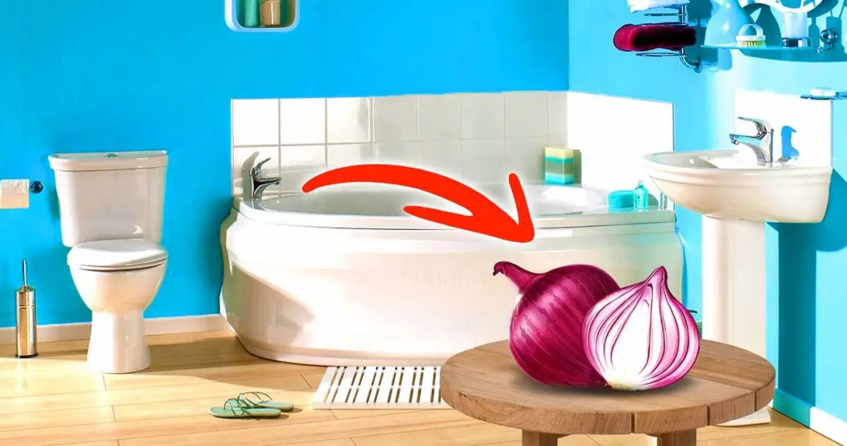 Warum muss man im Badezimmer immer eine Zwiebel haben? Sie werden ein großes Problem lösen