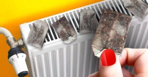 Warum muss man immer Teebeutel auf den Heizkörper stellen?