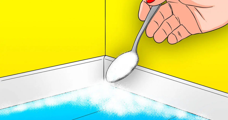 Warum sollte Backpulver in die Ecken des Hauses geschüttet werden? Der wenig bekannte, aber wesentliche Trick