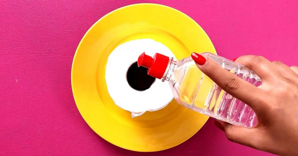 Warum sollte Toilettenpapier in Essig getränkt werden?