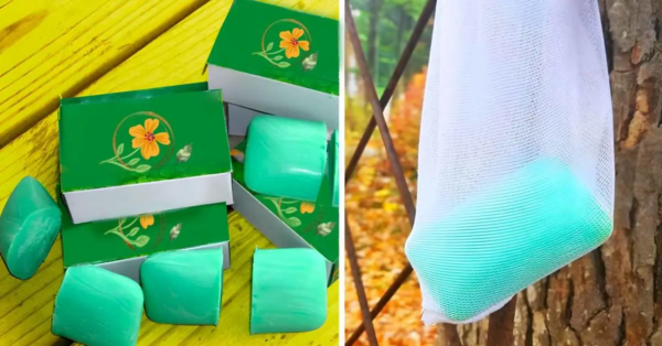 Warum sollte man Seifen um Pflanzen hängen?