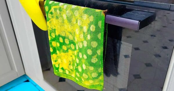 Warum sollte man kein Geschirrtuch auf die Backofentür legen?