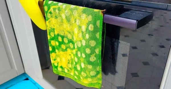 Warum sollte man kein Geschirrtuch auf die Backofentür legen?