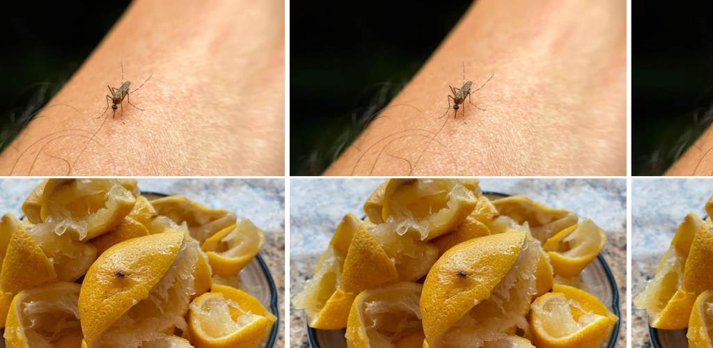 Warum stechen Mücken mich und andere nicht? Hier erfahren Sie, was Sie tun müssen, um sie zu blockieren