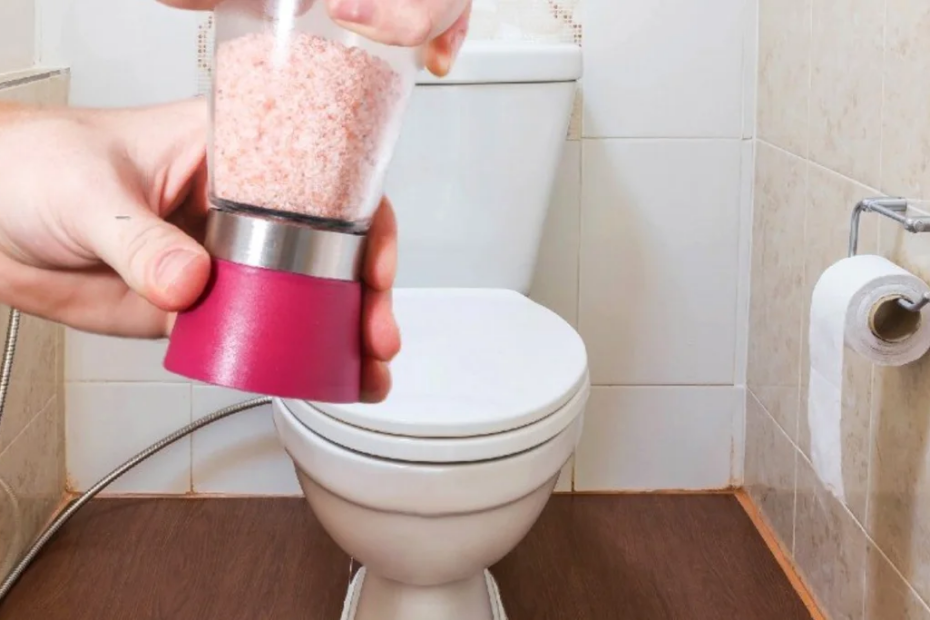 Warum werfen die Japaner einen Beutel voller Salz in die Toilette? Ich musste nie darüber nachdenken