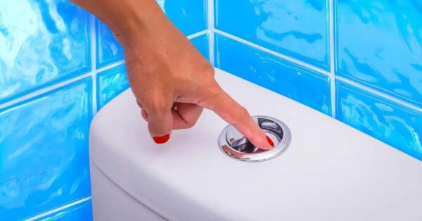 Was ist der Unterschied zwischen einem großen und einem kleinen Spülknopf? wissen nur wenige