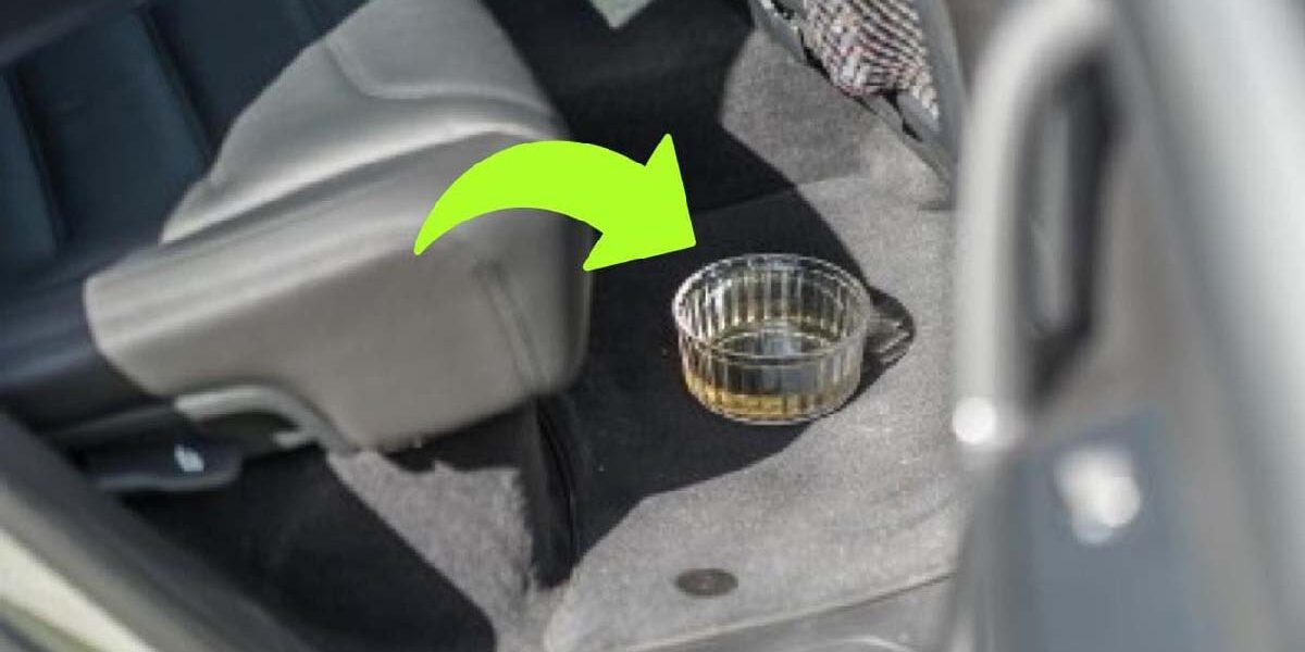 Was passiert mit Ihrem Auto, wenn Sie eine Schüssel Essig darüber gießen?