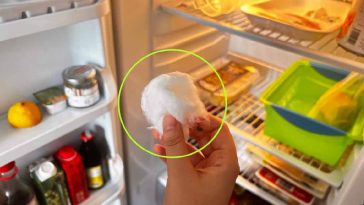 Was passiert, wenn Sie einen Wattebausch in den Kühlschrank legen: Der Grund wird Sie sprachlos machen