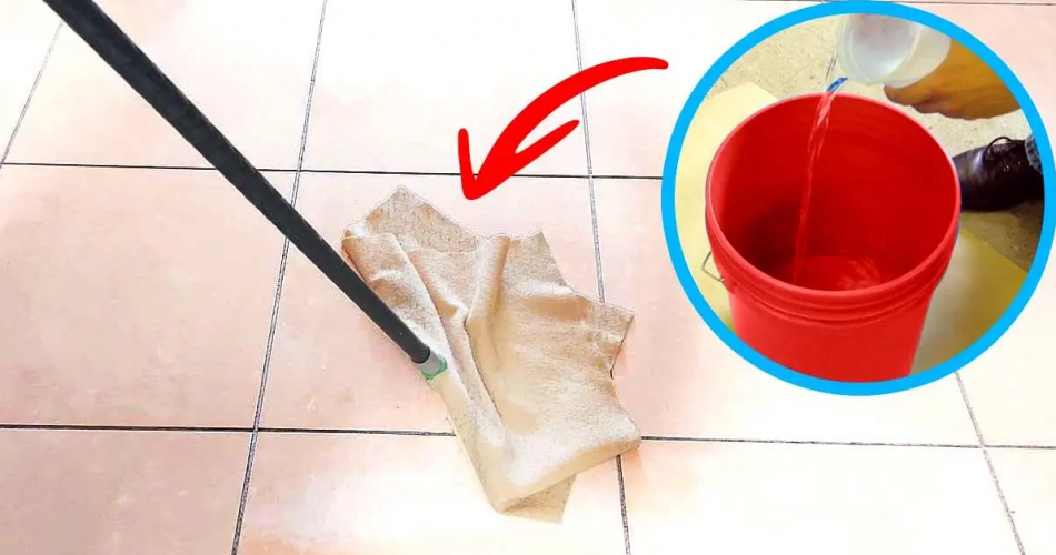 Was sollte man dem Wasser hinzufügen, um einen makellosen und duftenden Boden zu erhalten? Gießen Sie einfach dieses sparsame Produkt ein