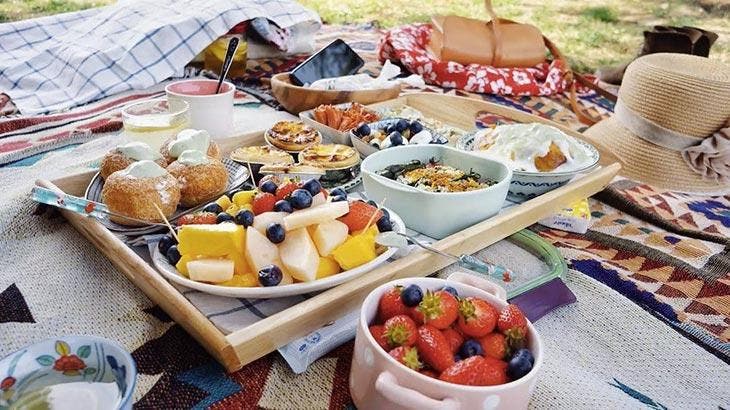 Decke für das Picknick