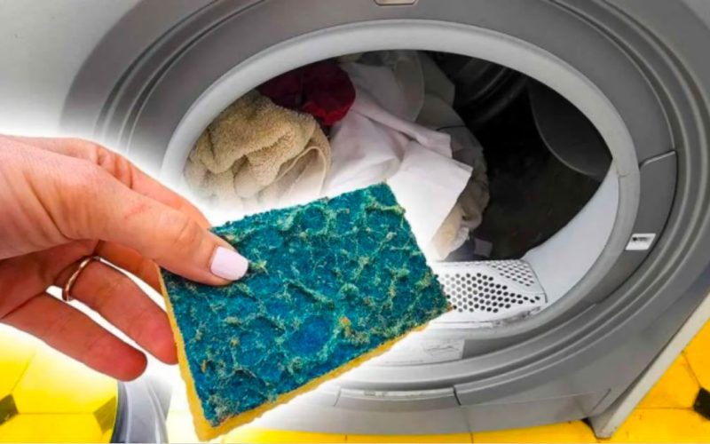 Waschmaschine: Werfen Sie einen Schwamm für das Geschirr: Es geschieht etwas Barbaresques