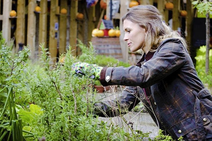 Kümmere dich um Pflanzen