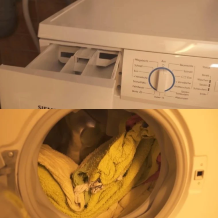 Wenn Ihre Kleidung oder Handtücher nach dem Waschen unangenehm riechen, wenden Sie einen einfachen Trick an