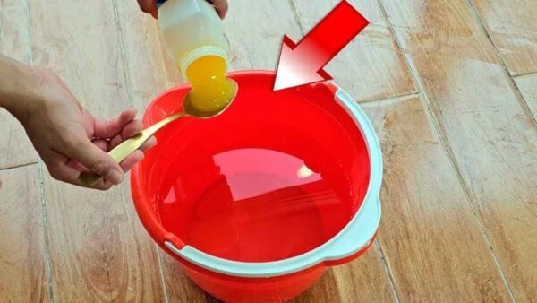 Wenn Sie dies tun, werden der Boden, Ihre Fenster und Ihre Spiegel wie nie zuvor strahlen