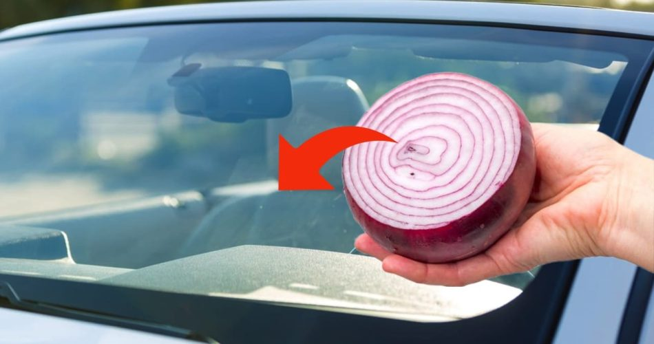 Wenn Sie eine Zwiebel auf die Windschutzscheibe Ihres Autos kleben, werden Sie nie ahnen, was für ein großes Problem sie löst