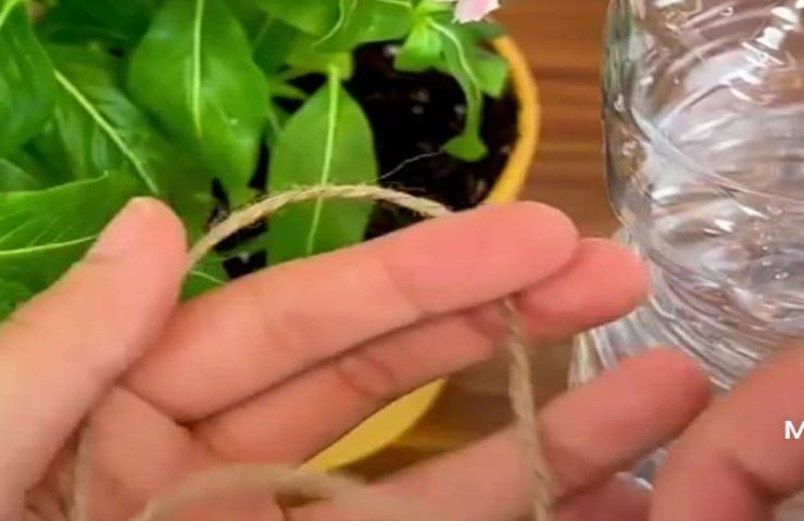 Wenn Sie im Urlaub sind, bewässern Sie den Garten mit einer Schnur