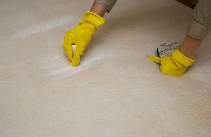 Haushaltsreiniger verschmutzte Matratze