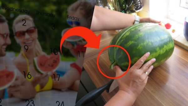 Wenn man die Wassermelone so aufbewahrt, bleibt sie 12 Monate lang süß und saftig: die unfehlbare Methode der Großmütter