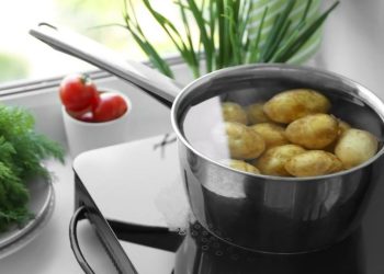 Werfen Sie das Kartoffelkochwasser nicht weg! Entdecken Sie 5 Möglichkeiten, dieses Wasser für Ihren Garten wiederzuverwenden