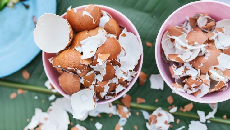 Eierschalen für den Garten