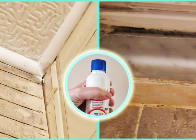 Wie bekommt man mit diesen Tipps glänzende Böden ohne Reinigungsmittel?