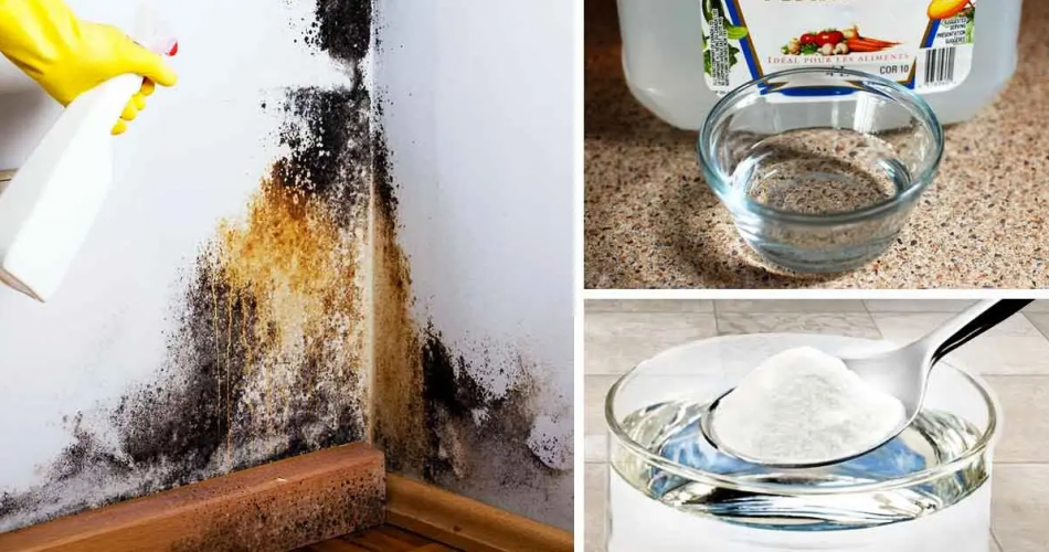 Wie beseitigt man Feuchtigkeit? 5 einfache und effektive Tipps