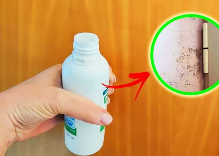 Wie beseitigt man Schimmel zu Hause mit Wasserstoffperoxid?