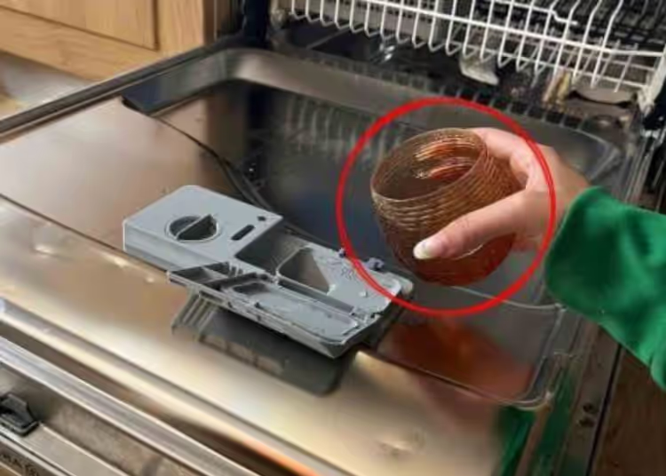 Wie bringen Sie Ihre Gerichte mit hausgemachten Tipps zum Glänzen?