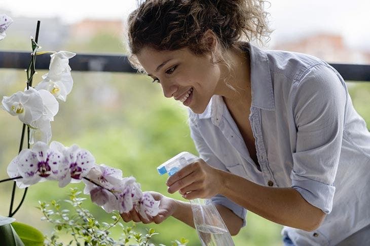 Wie bringt man Orchideen das ganze Jahr über zum Blühen? Geben Sie eine einzelne Zutat in das Gießwasser 3 Orchideen gießen