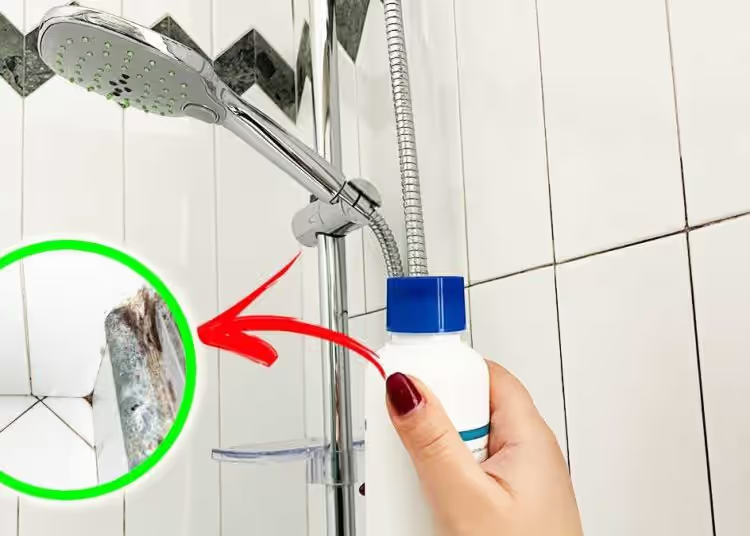 Wie entfernt man Schimmel und Kalk mit Wasserstoffperoxid in der Dusche?
