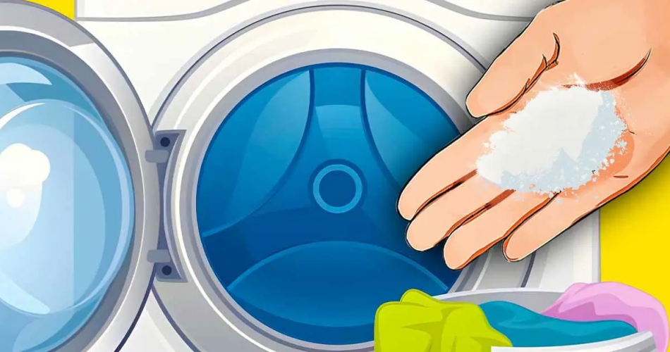 Wie entfernt man auf natürliche Weise feuchten Geruch aus der Kleidung?