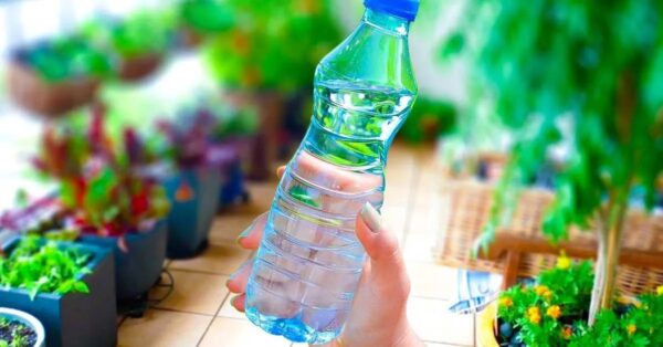 Wie erstelle ich ein Tropfbewässerungssystem mit einer Flasche?