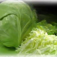 Wie friert man Kohl ein?