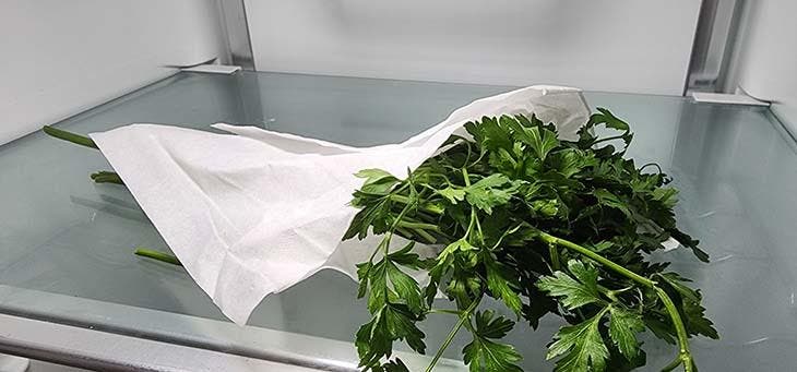 Bewahren Sie die Petersilie in einem Papiertuch auf