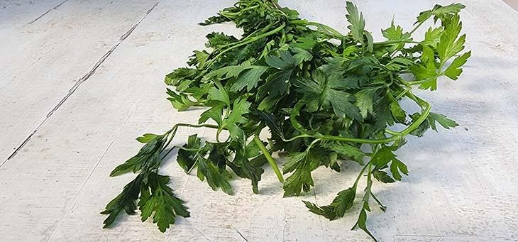 Wie hält man Petersilie lange frisch? 4 frische Petersilie